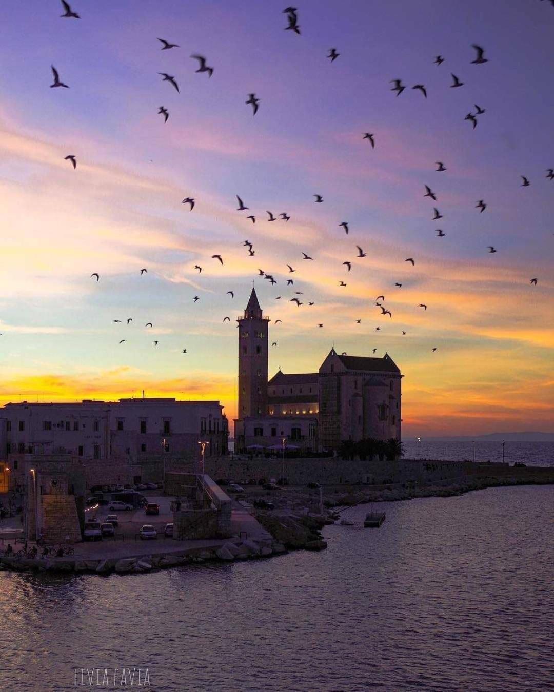 La Soffitta Covelli Bed & Breakfast Trani Exterior photo